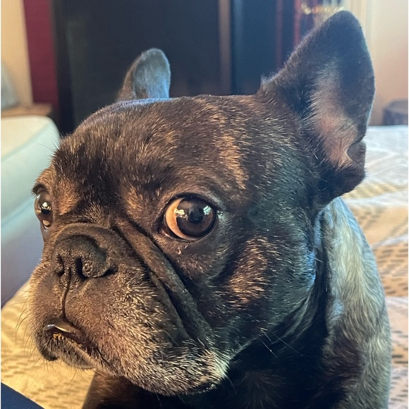 Nurse D’s Closet - Picture 1 of 2